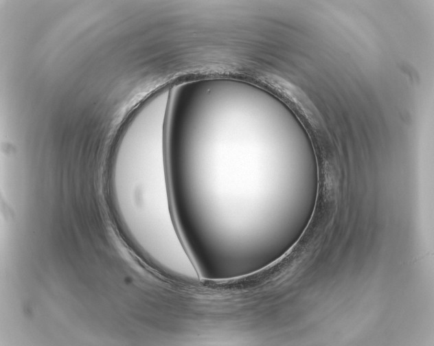 X0000091190677200708091023