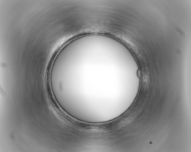 X0000091190678200708091023