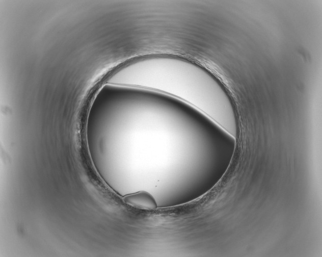 X0000091190680200708091023