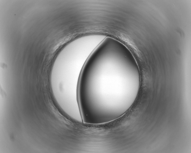 X0000091190681200708091023