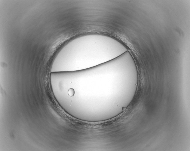 X0000091190683200708091023