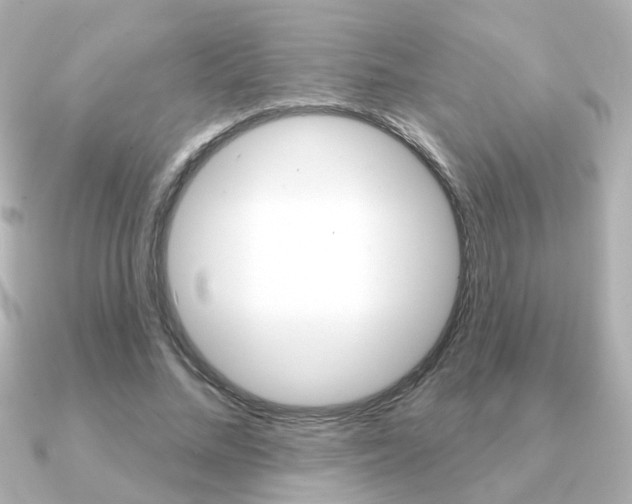 X0000091190684200708091022