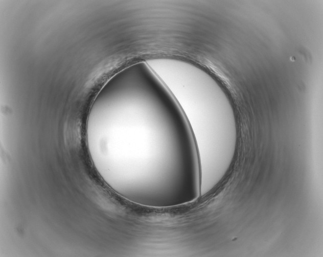X0000091190685200708091022