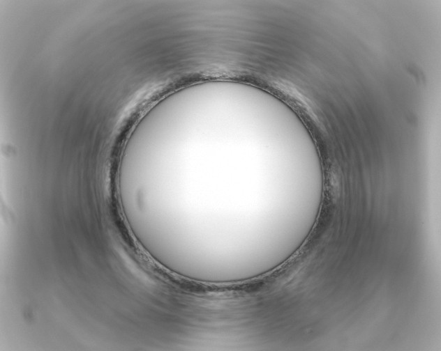 X0000091190686200708091022