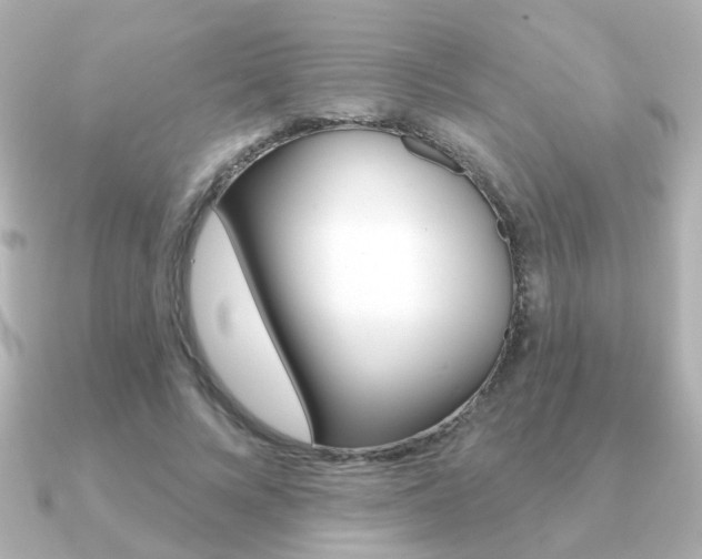 X0000091190688200708091022