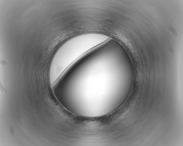X0000091190689200708091022