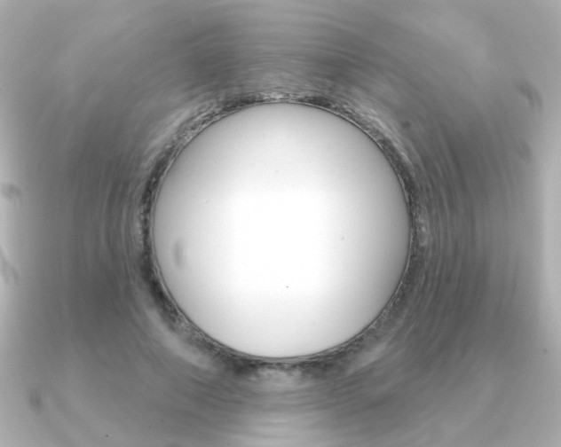 X0000091190690200708091022