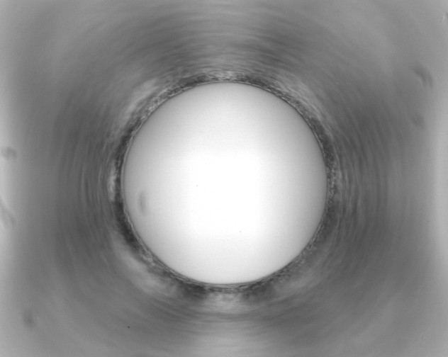 X0000091190694200708091022