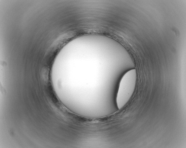 X0000091190695200708091022