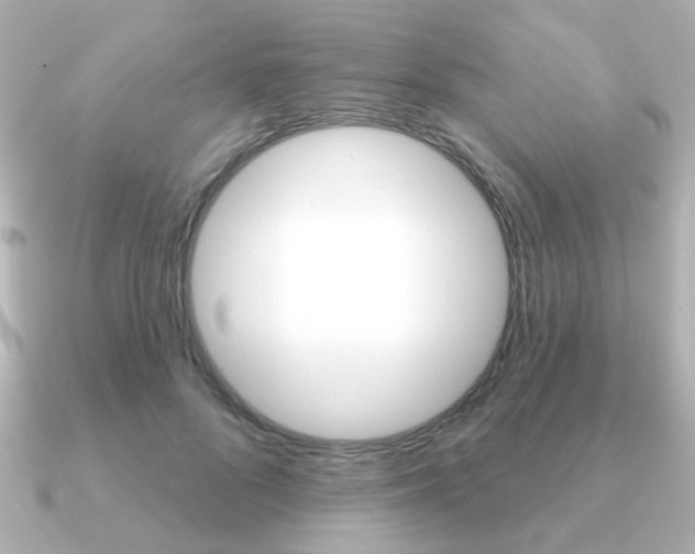 X0000091190696200708091022