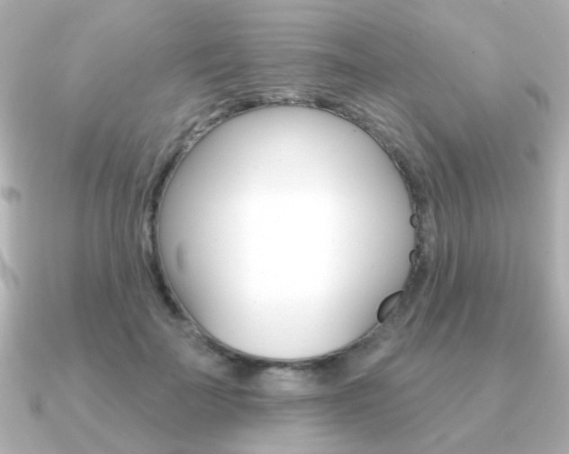 X0000091190699200708091022