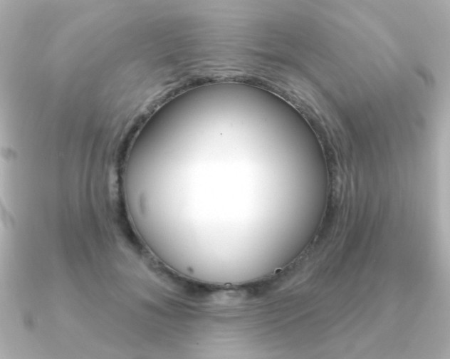 X0000091190700200708091022