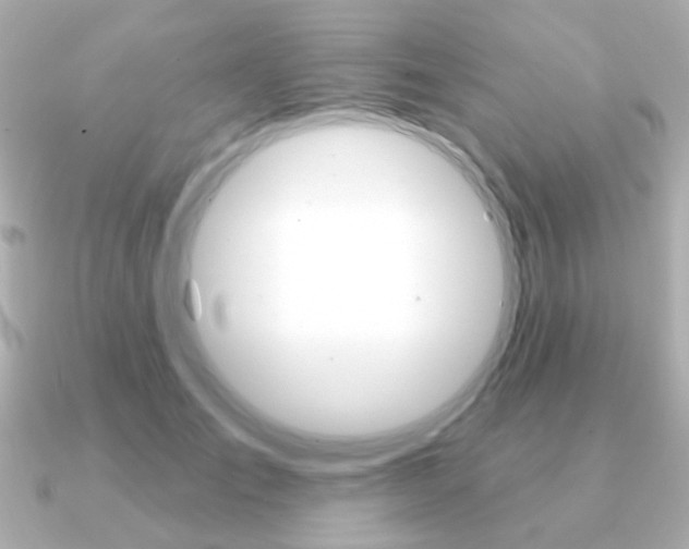 X0000091190701200708091022