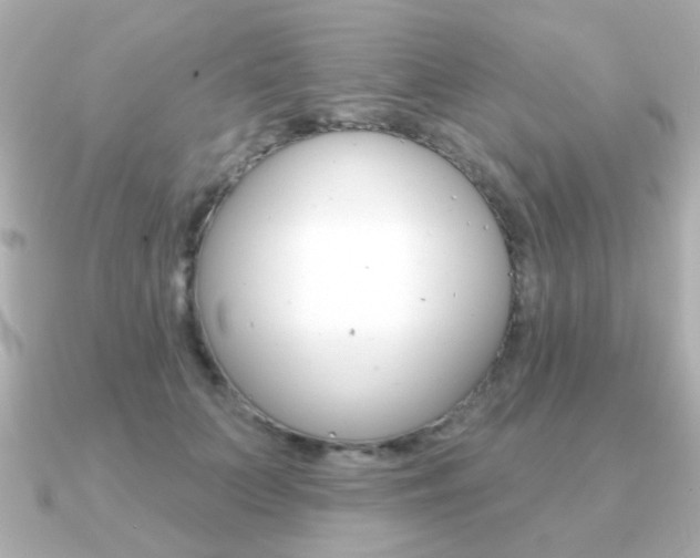 X0000091190703200708091022