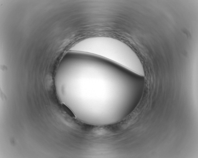 X0000091190704200708091022