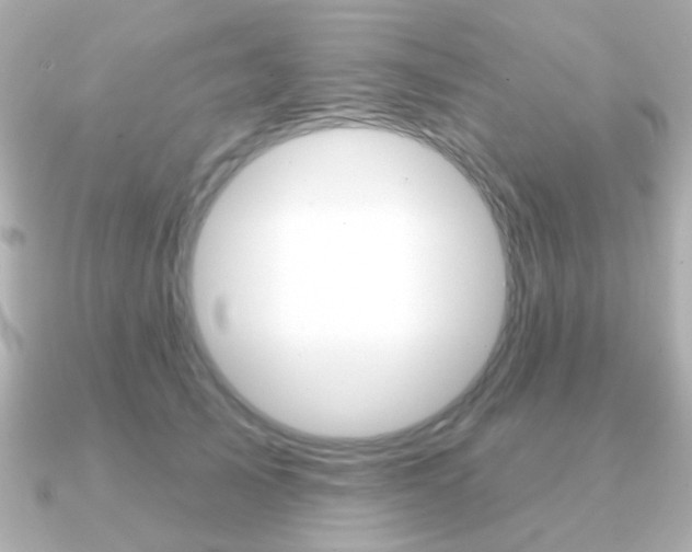X0000091190705200708091022