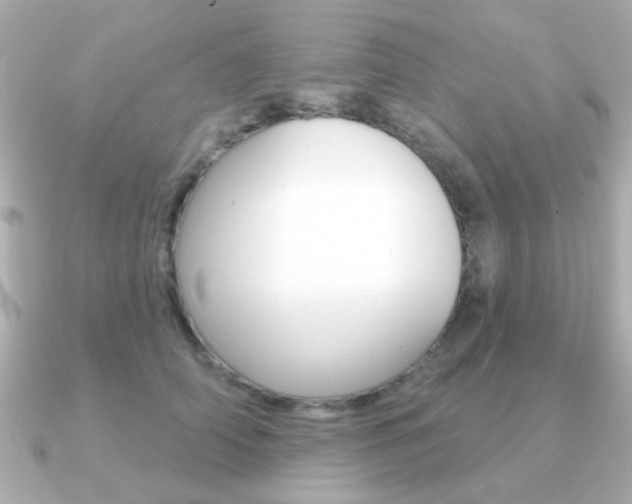 X0000091190706200708091022