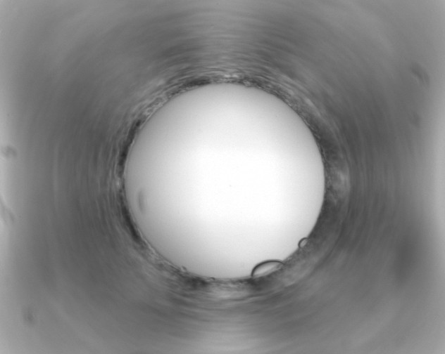 X0000091190707200708091022