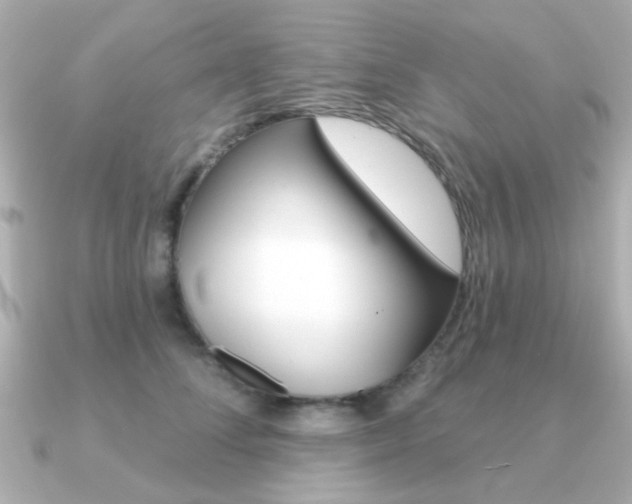 X0000091190708200708091022