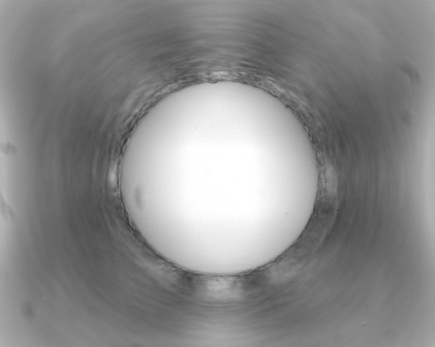 X0000091190709200708091022