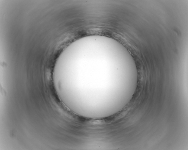 X0000091190711200708091022