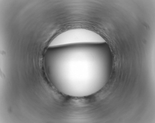 X0000091190712200708091022