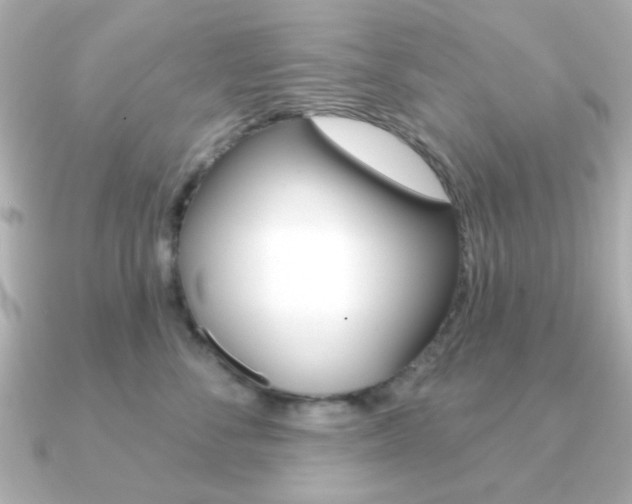 X0000091190716200708091022