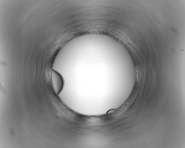 X0000091190718200708091022