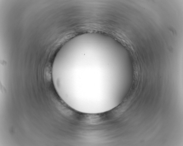 X0000091190719200708091022
