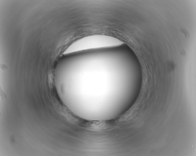 X0000091190720200708091022