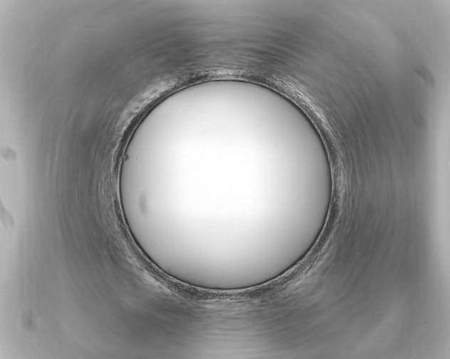 X0000091190721200708091022