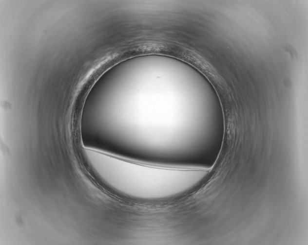 X0000091190722200708091022