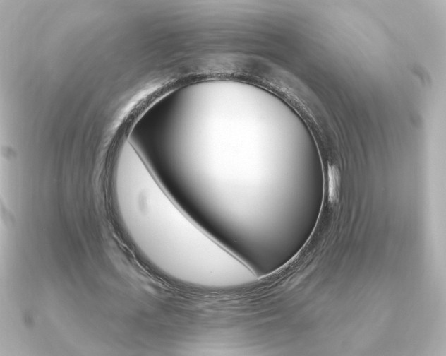 X0000091190723200708091022
