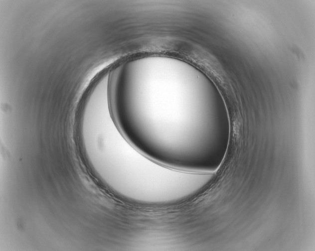 X0000091190724200708091022