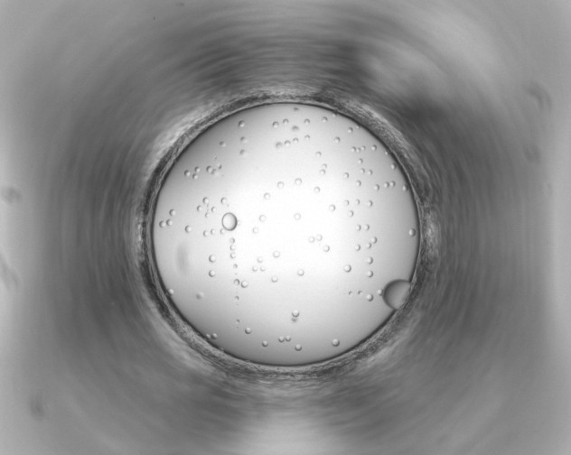 X0000091190725200708091022