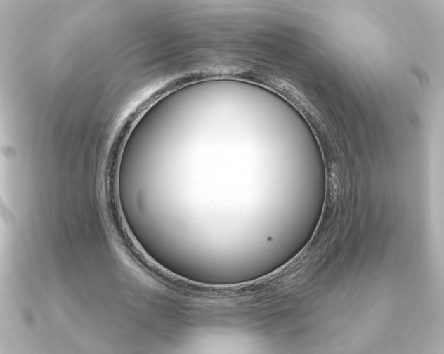 X0000091190726200708091022