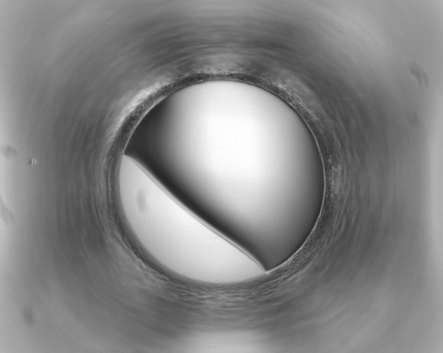 X0000091190727200708091022