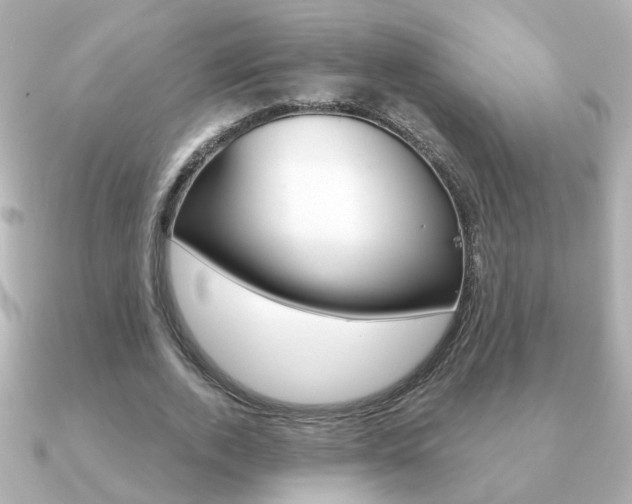 X0000091190728200708091022