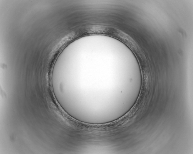 X0000091190729200708091022