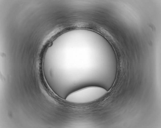 X0000091190730200708091022