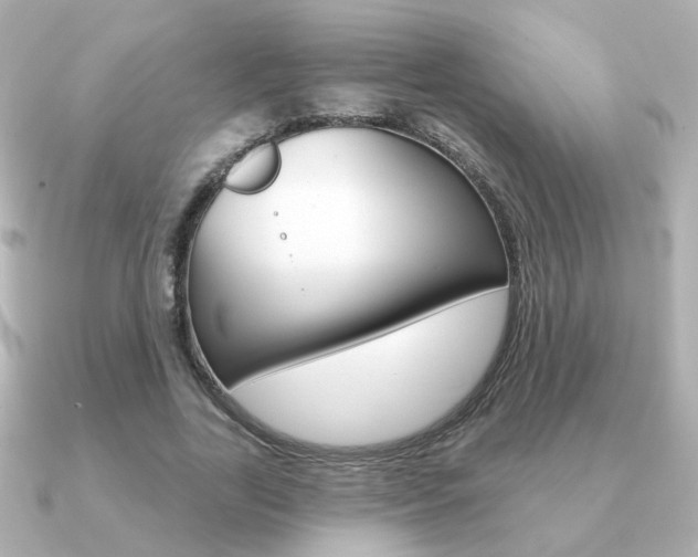 X0000091190731200708091022