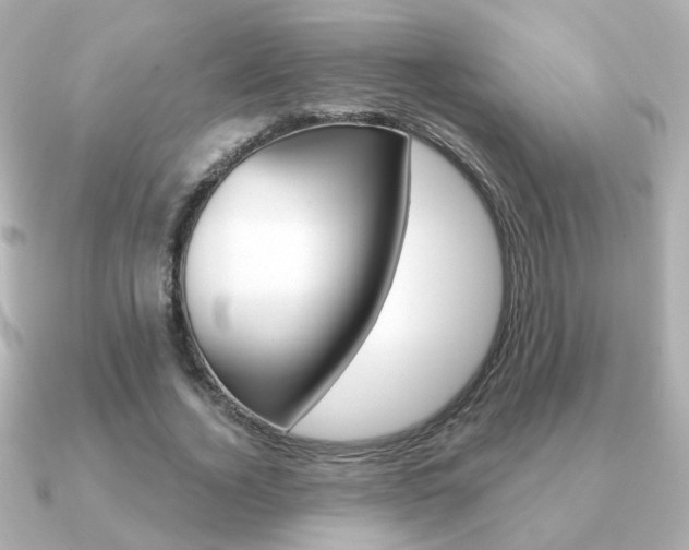X0000091190732200708091022