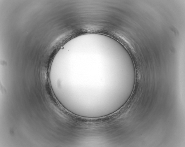 X0000091190733200708091022