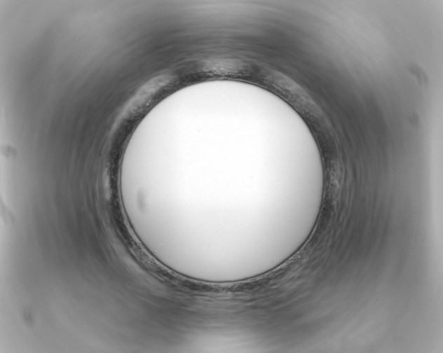 X0000091190734200708091022