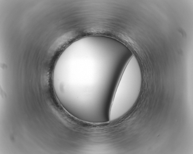 X0000091190735200708091022