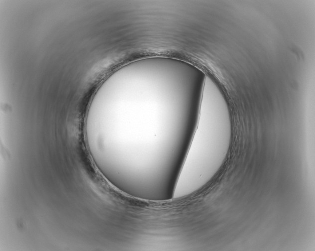X0000091190736200708091022
