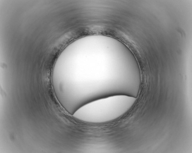 X0000091190737200708091022
