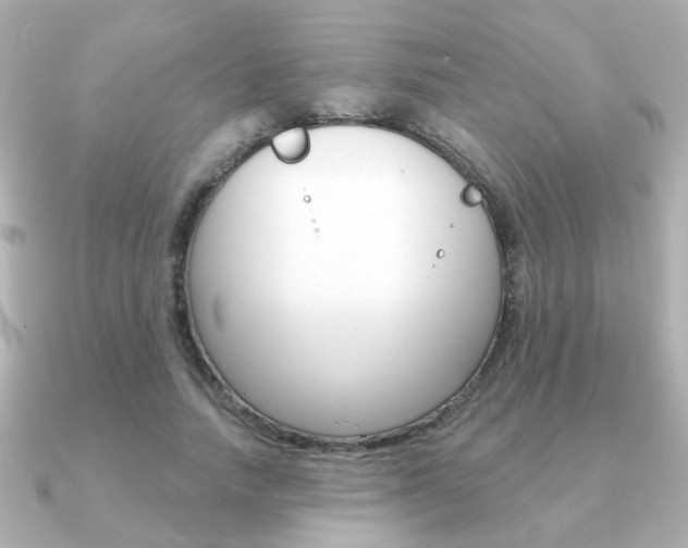 X0000091190738200708091022