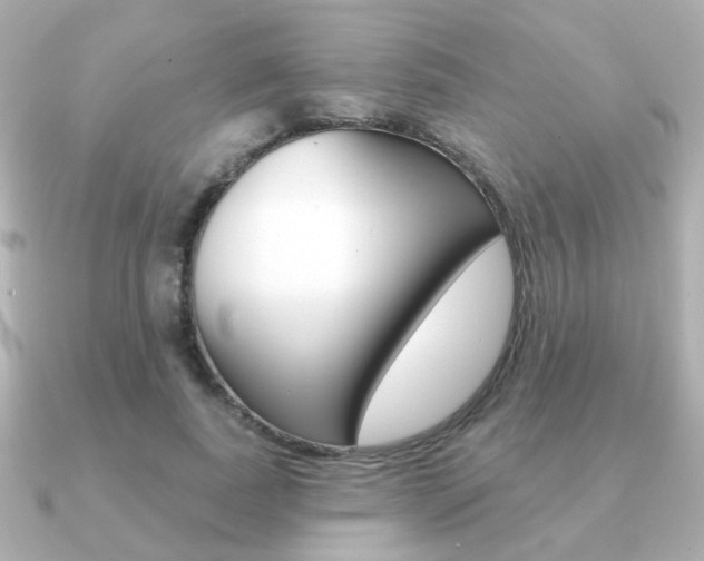 X0000091190739200708091022