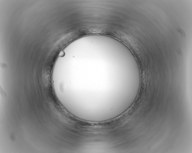 X0000091190741200708091022